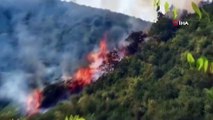 Sarıyer'de ormanlık alanda yangın çıktı. Bölgeye itfaiye ekipleri sevk edildi