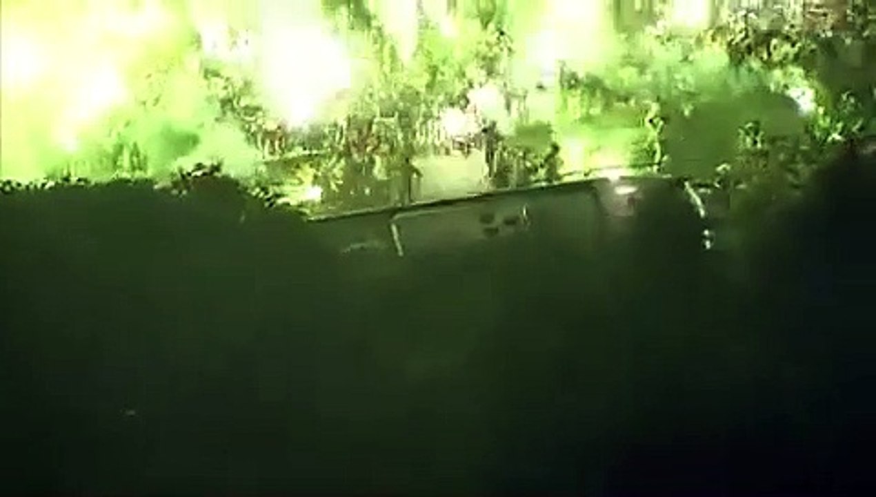 Palmeiras