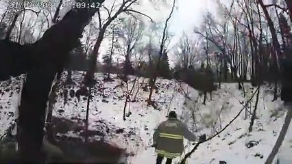 Veado preso em baloiço de corda resgatado no Michigan. Ora veja