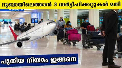 UAE Flight Companies' New Guidelines