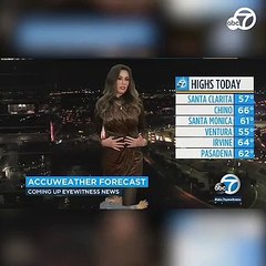 Meteorologista em teletrabalho interrompida pelo filho durante direto