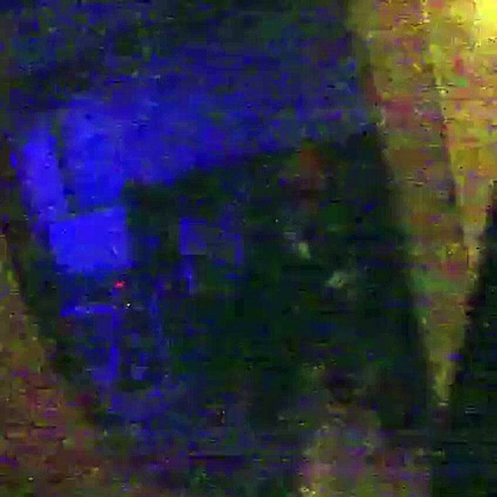 Polícia britânica apanha 29 pessoas em bar em Londres