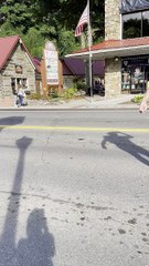 Black Bear Checks Out Downtown Gatlinburg