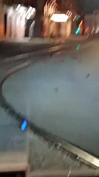 Centenas de pássaros mortos após lançamento de foguetes no Ano Novo