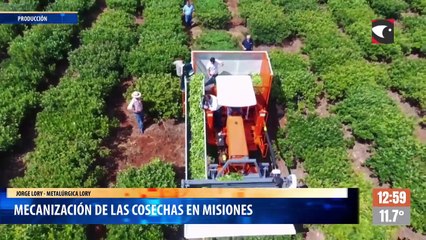 Misiones Online Televisión (874)