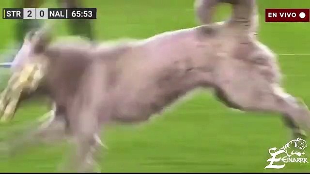 The Strongest-Nacional Potosí