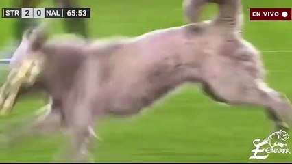 The Strongest-Nacional Potosí