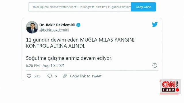 Son dakika haberi: Milas yangını kontrol altına alındı