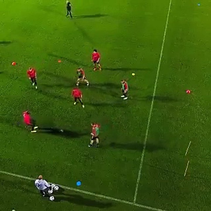 Vertonghen