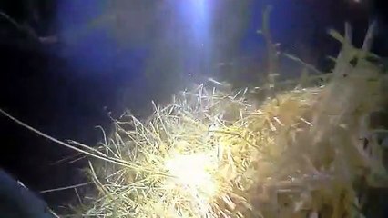 Salvamento de mulher de carro a arder