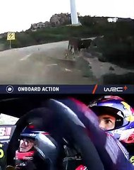 Dani Sordo surpreendido no Rally da Sardenha