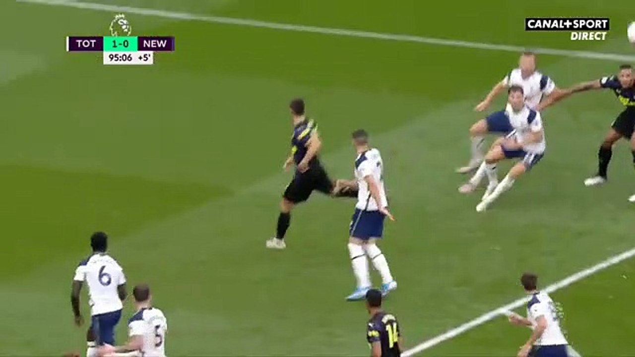Dier