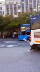 Colisão entre autocarros no Porto