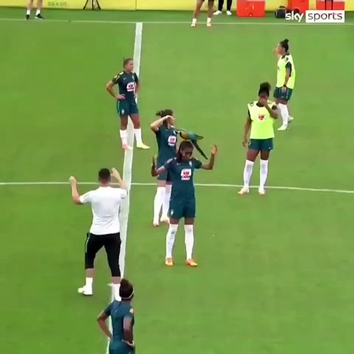 Arara treino Brasil