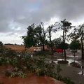 Ventos fortes deixam rasto de destruição em Beja.