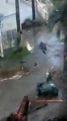 Jacaré nada em quintal inundado de casa no Alabama