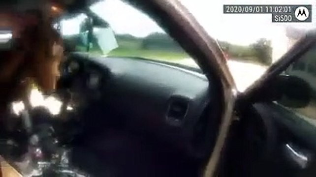 Cabra invade carro patrulha nos EUA e come documentos oficiais