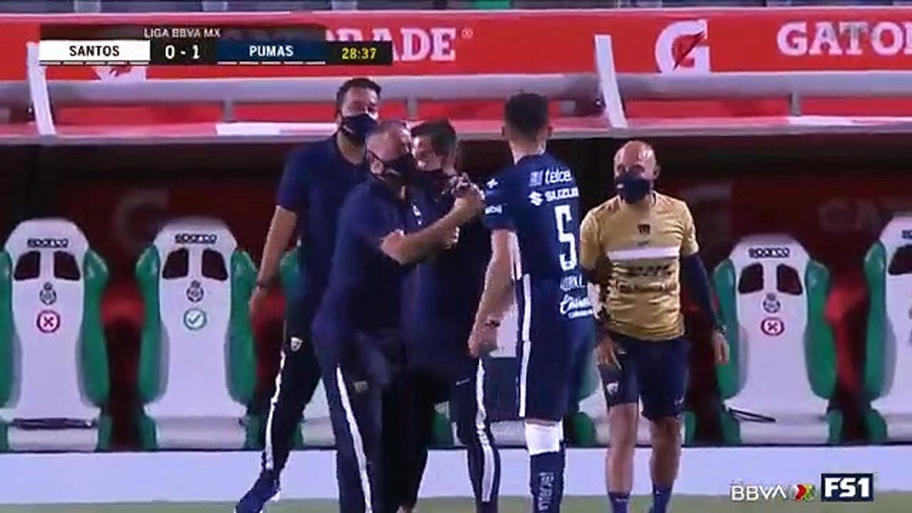 Santos Laguna-Puma