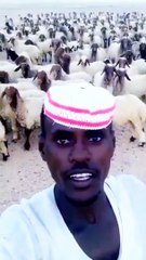 Wow kaya Kamal ka talent hai plz viral kardo