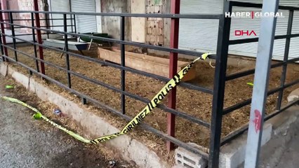 Hayvan kesim yerinde çıkan bıçaklı sopalı kavgada 4 kişi tutuklandı