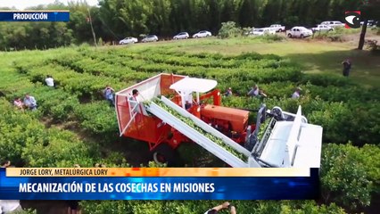 Mecanización de las cosechas en Misiones
