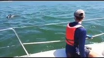 Crianças surpreendidas por golfinhos enquanto navegavam no Tejo