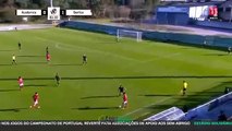 Paulo Bernardo Skills