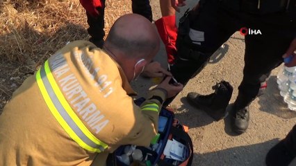 Bodrum yeniden alevlere teslim oldu