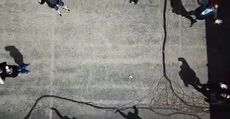 Motoristas escolares juntam 22 autocarros para surpresa a finalistas