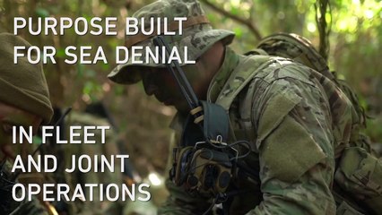 The Future of the US Marine Corps - Force Design 2030