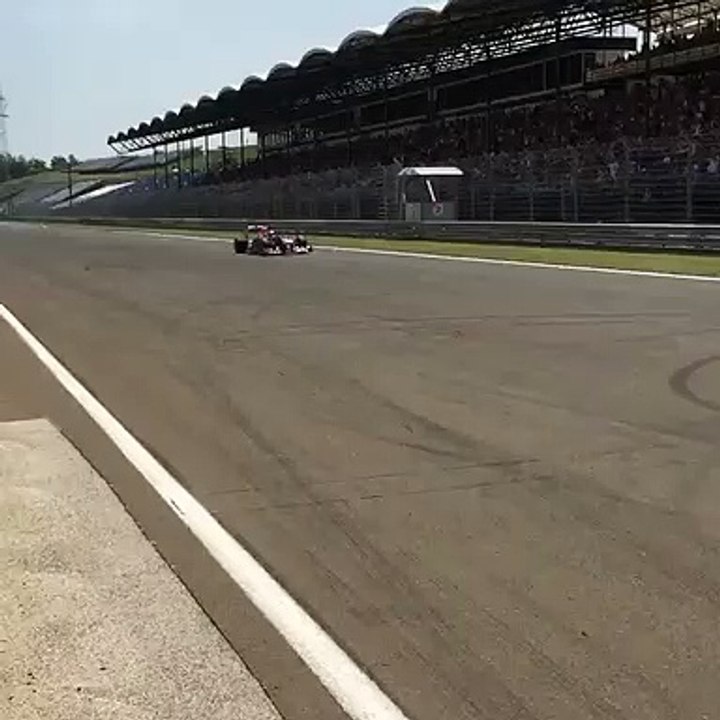 Felix da Costa - Red Bull