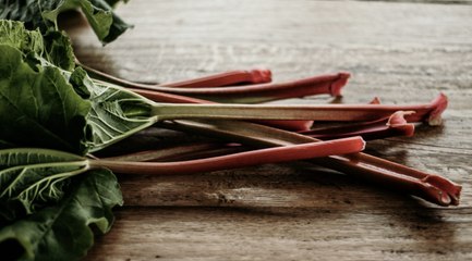 Deadly Foods or Kitchen Folklore? A Few Food Items to Approach With Caution