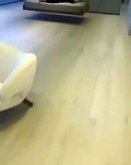 Vídeo: Kylie Jenner tenta assustar a mãe enquanto descansava