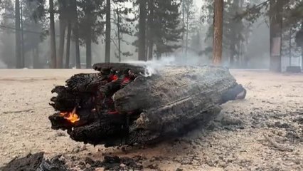 El incendio más devastador de los últimos años sigue activo
