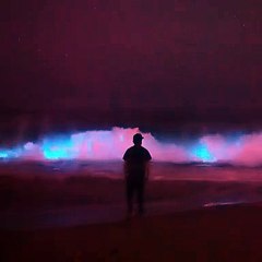 Um espetáculo de ondas de neon azul numa praia da Califórnia
