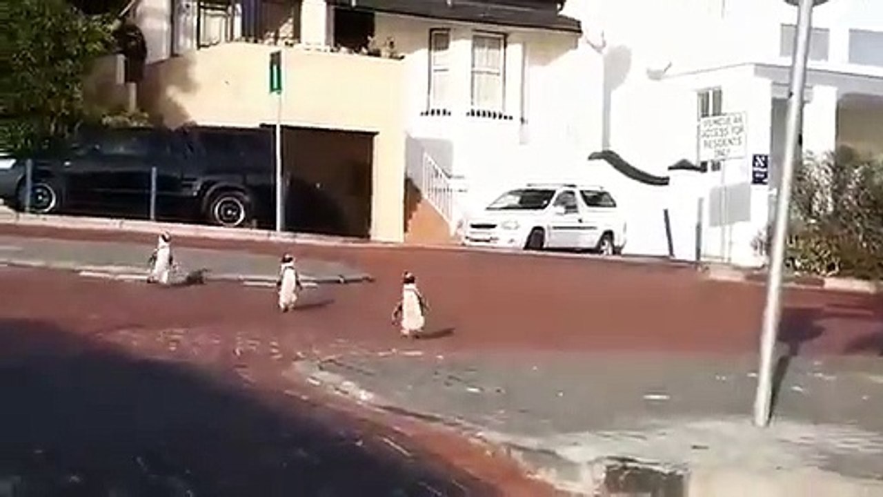 África do Sul