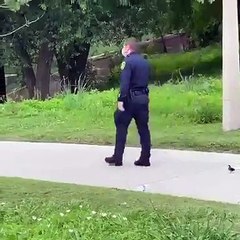 Operação Quack Quack: Polícia ajuda patos bebés a reencontrarem a mãe