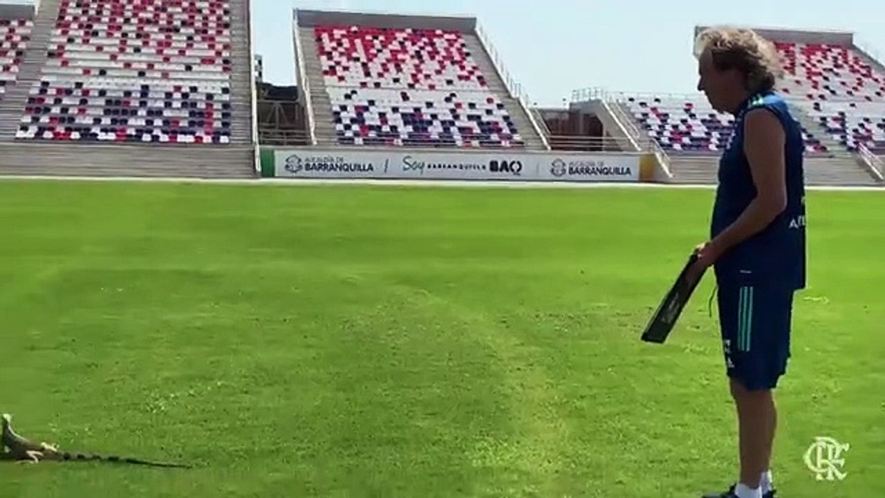 Jesus expulsa iguana