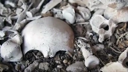 Encontrado túmulo com 72 esqueletos de civilização extinta nas Canárias