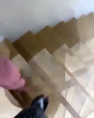 Aos dois anos, filha de Kylie Jenner mostra que já sabe contar até dez