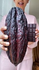 Begini proses dari kakao sampai jadi cokelat