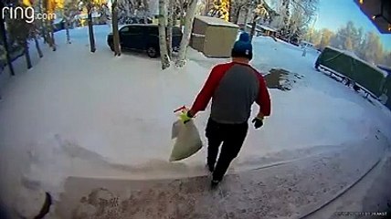 Encontro inesperado de homem com alce acaba em "jogo das escondidas"