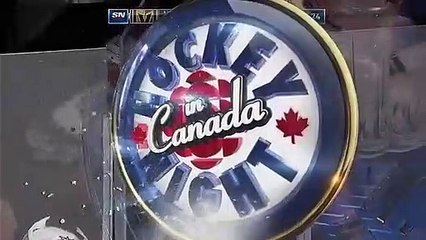 Jogador hóquei no gelo