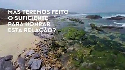 Portugal ergue bandeira produzida com detritos dos oceanos