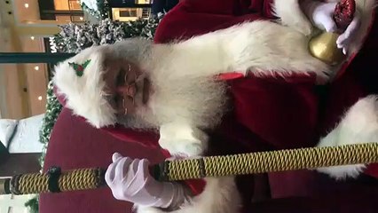 O verdadeiro Pai Natal também deseja muito uma prenda