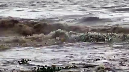 Ondas repletas de lixo e plástico rebentam em areal de praia sul-africana