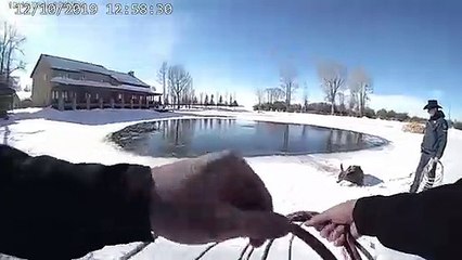 Veado resgatado por agentes da polícia de lago gelado do Wyoming