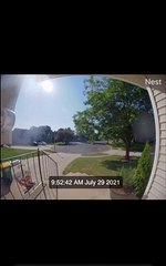 Runaway Strollers and Scraped Knees