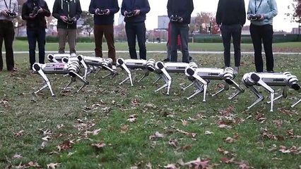 Os robots do MIT são capazes de andar, saltar e até esconder