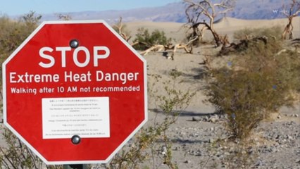 Explications : comment la canicule nuit-elle à l'économie